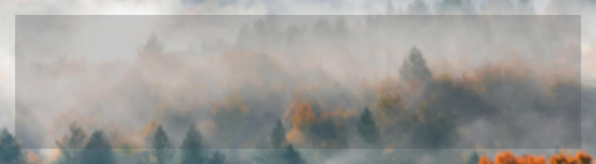 2000x550_Desktop Ebene 1 Herobanner